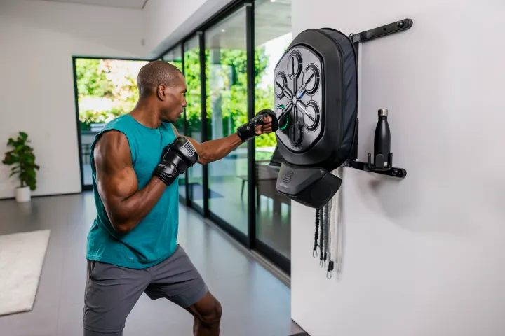 liteboxer fitness bundle
